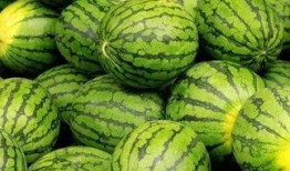 52爆料吃瓜网 每日大赛独家爆料 今日吃瓜黑料-海外吃瓜,海外娱乐圈独家揭秘，今日吃瓜黑料大放送！